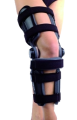 rehab1.png